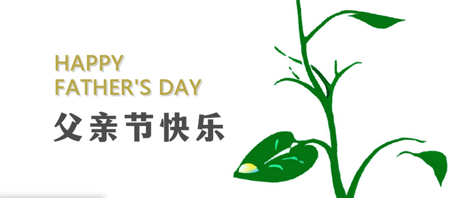 父愛無言，感恩相伴