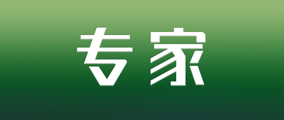 王春暉：數(shù)字經(jīng)濟為穩(wěn)增長提供強大支撐